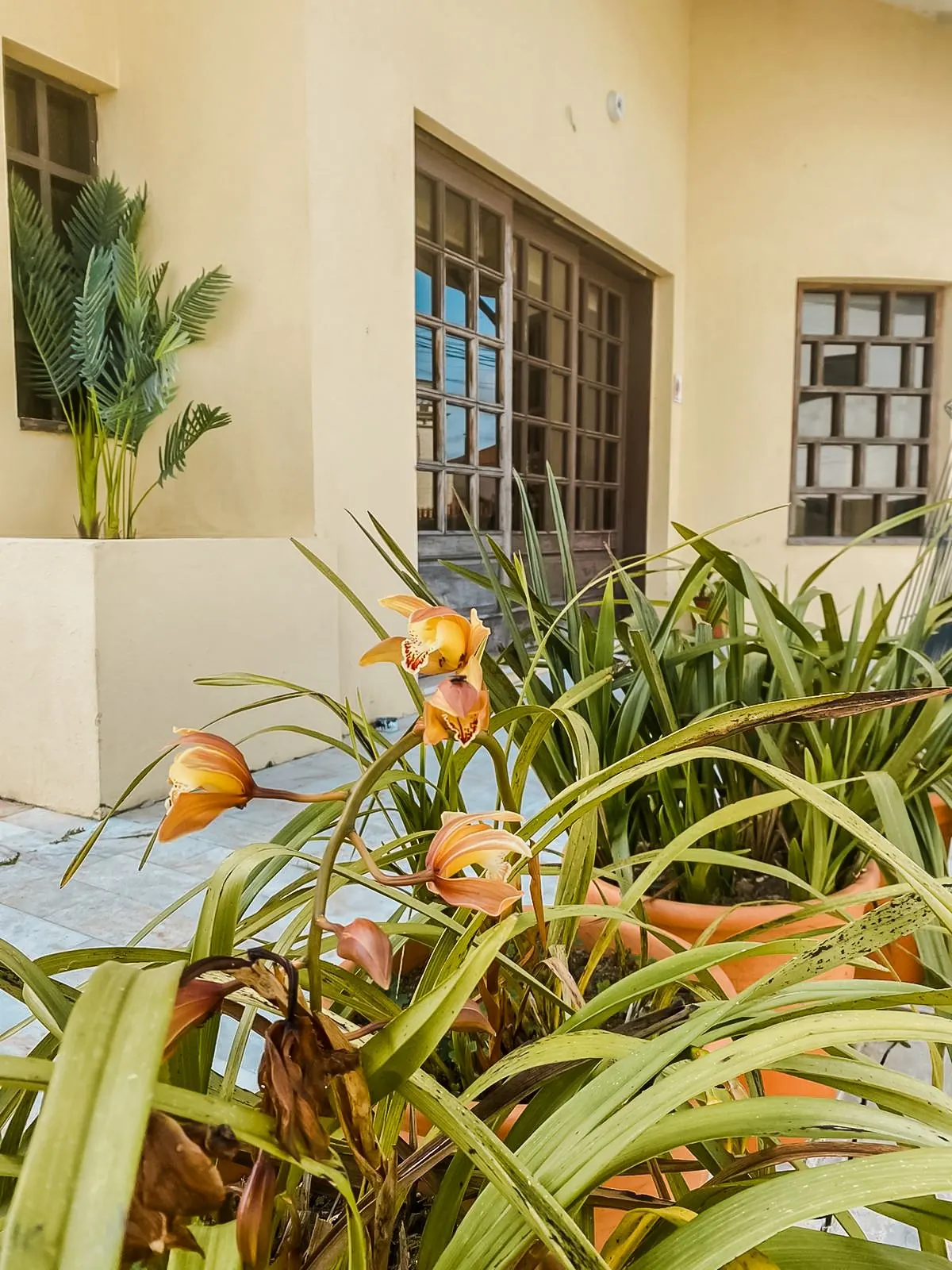 Detalhe exterior ajardinado da Villa Cucujães